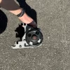 2019-2024 Nissan Altima 2.5L Engine Coolant Water Pump