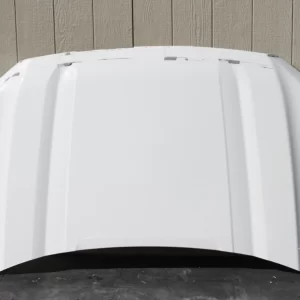 2019-2024 GMC Sierra 1500 Genuine OEM Front Hood Bonnet